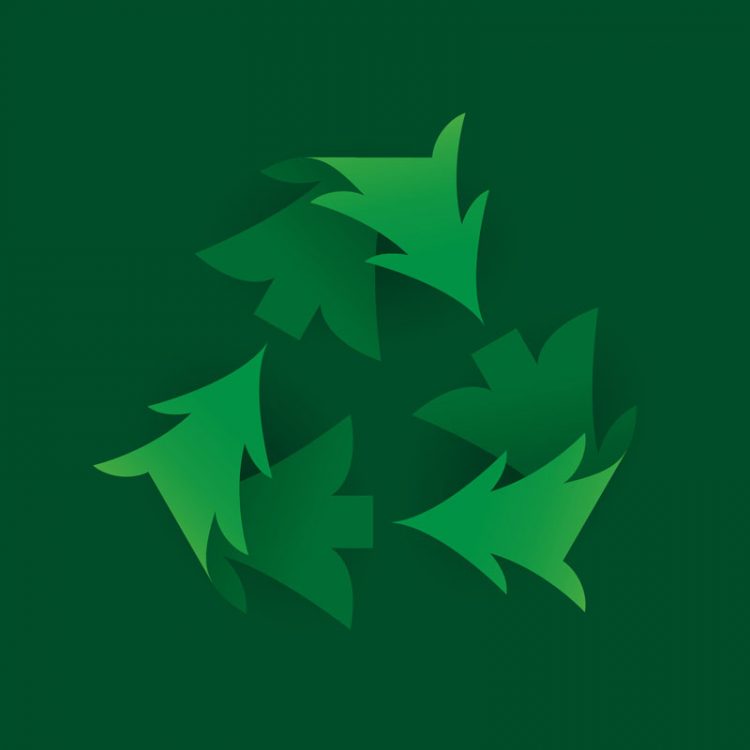 christmas tree collection disposal recycle cork