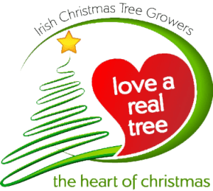 irish christmas tree growers Ireland