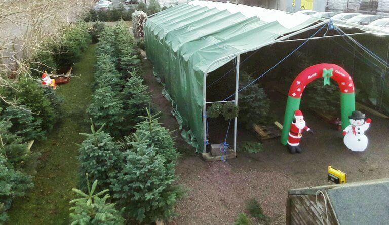 Christmas Trees For Sale Centre Park Road, Cork