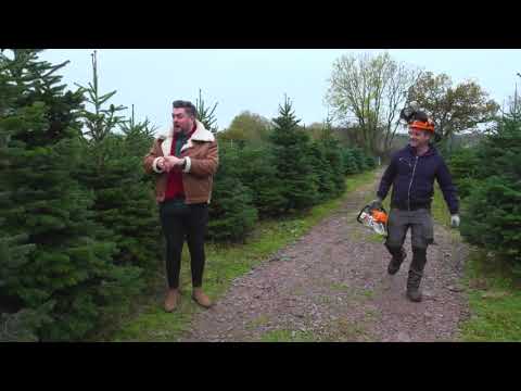 Cork Christmas Trees Farm – Ovens